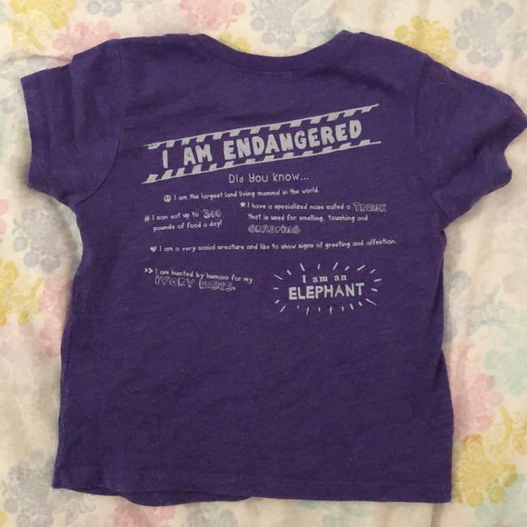 Kids Peek-a-zoo Elephant Tee - Picture 2 of 4